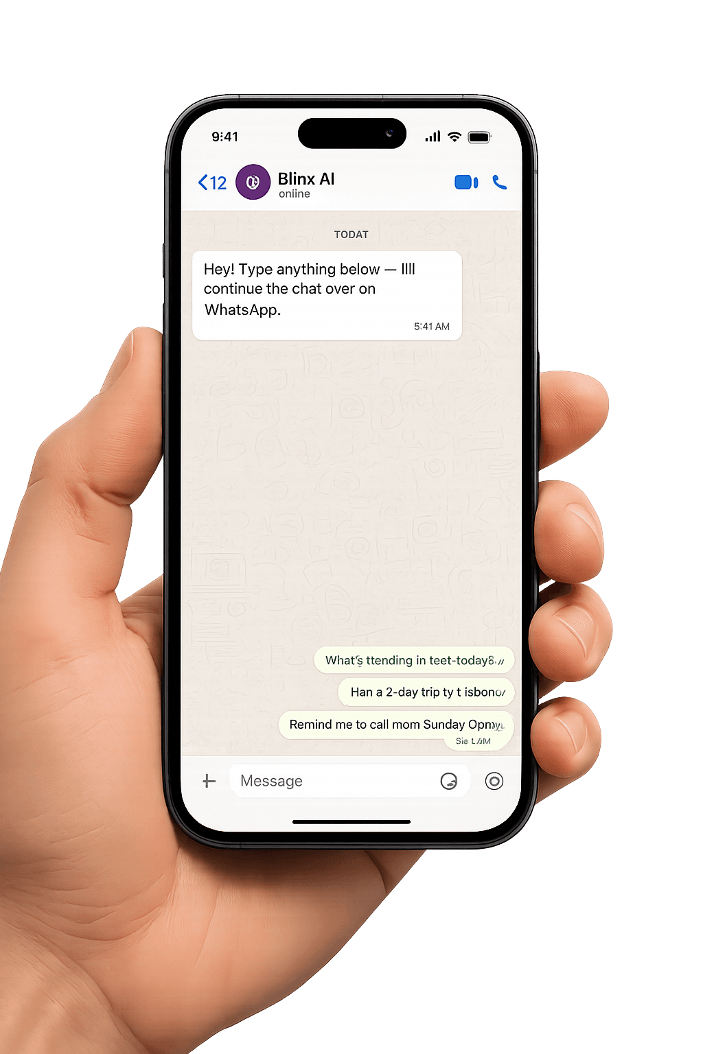 Binx running inside WhatsApp